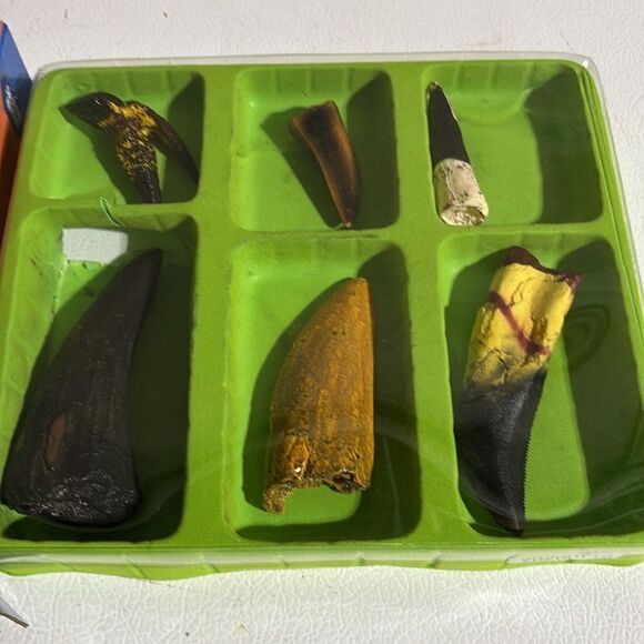 Dr. Hunters Dino Teeth Replica Collection & ArtSkills Dino Eggs Excavation Kit - Picture 3 of 10